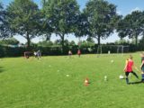 Laatste training S.K.N.W.K. JO11-1 van dit seizoen (4/110)