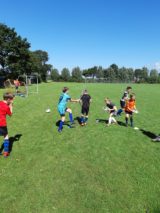 Laatste training S.K.N.W.K. JO11-1 van dit seizoen (8/110)