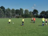 Laatste training S.K.N.W.K. JO11-1 van dit seizoen (58/110)