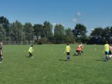 Laatste training S.K.N.W.K. JO11-1 van dit seizoen (59/110)