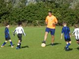 S.K.N.W.K. JO9-1 - M.Z.C. '11 JO9-3 (competitie) najaar fase 1 seizoen 2020-2021 (26/116)