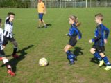 S.K.N.W.K. JO9-1 - M.Z.C. '11 JO9-3 (competitie) najaar fase 1 seizoen 2020-2021 (97/116)