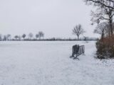 Sneeuwlaag bedekt sportpark 'Het Springer' (12/34)