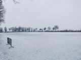 Sneeuwlaag bedekt sportpark 'Het Springer' (13/34)