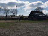 Training seniorenteams S.K.N.W.K. van zaterdag 20 maart 2021 (141/158)