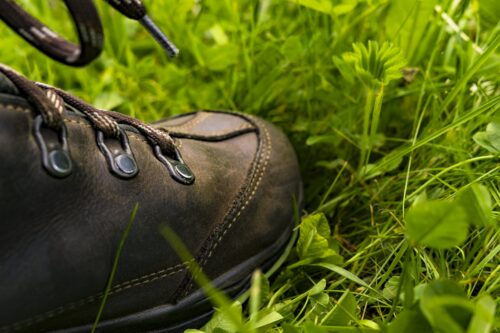 black leather shoe on the grass