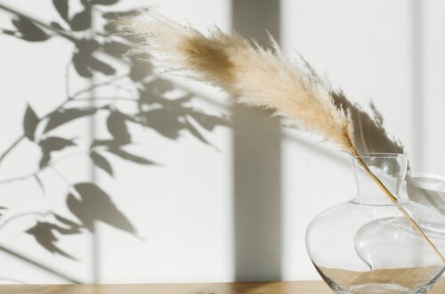 vase with pampas grass placed on desk