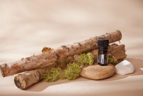 a bottle of essential oil and some rocks