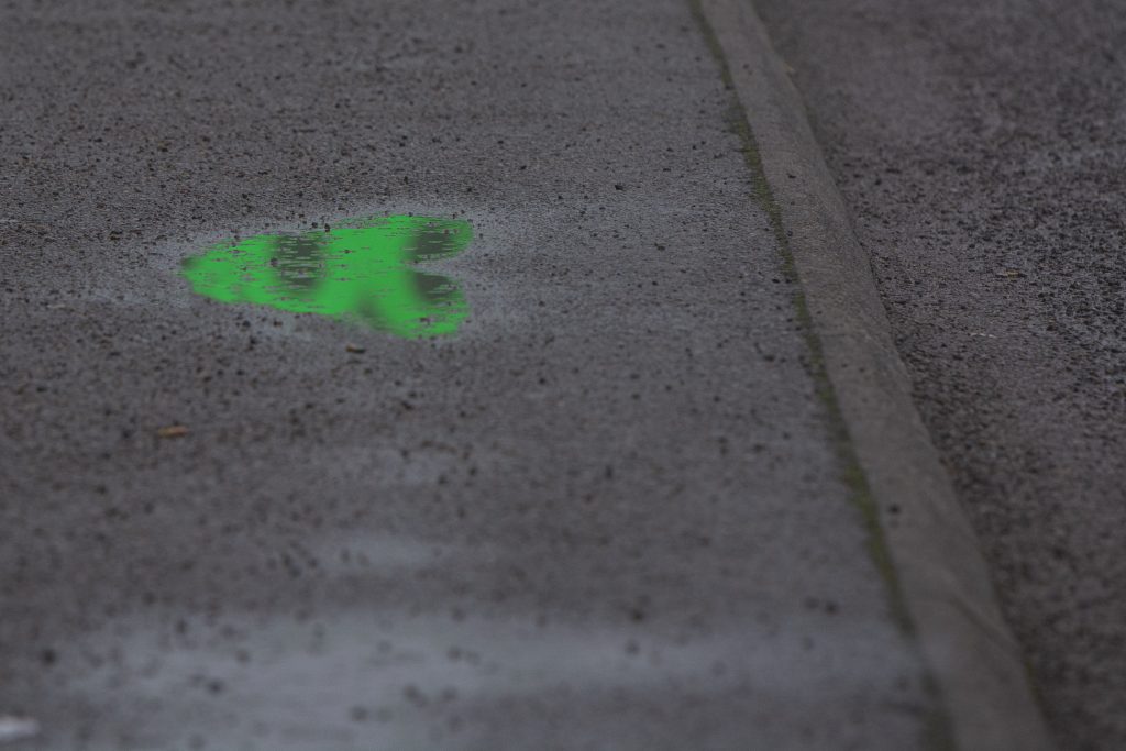 Vattenpöl i form av ett hjärta med en grön spegling i.