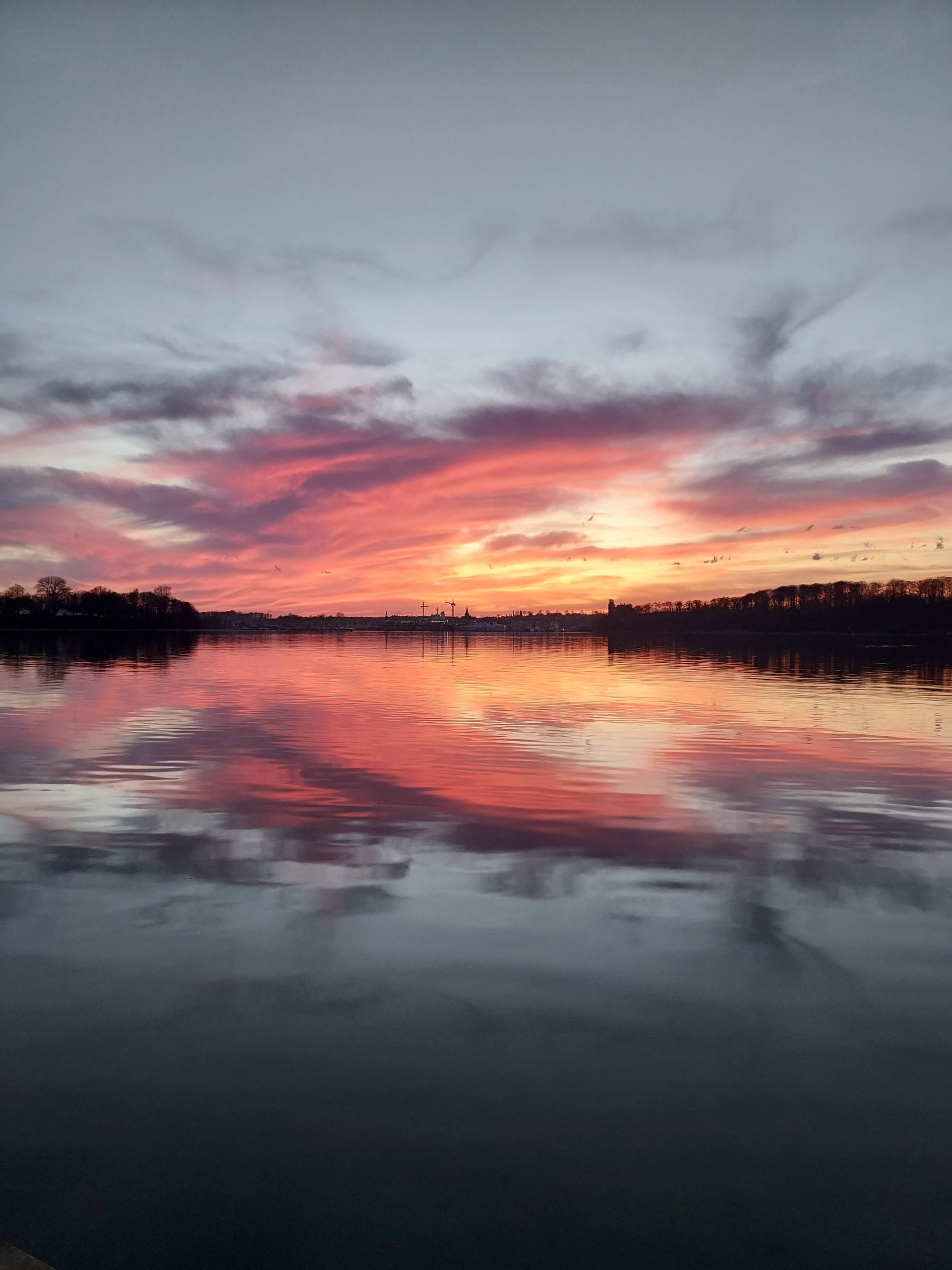 Read more about the article Jagten på solnedgang i Svebdborg