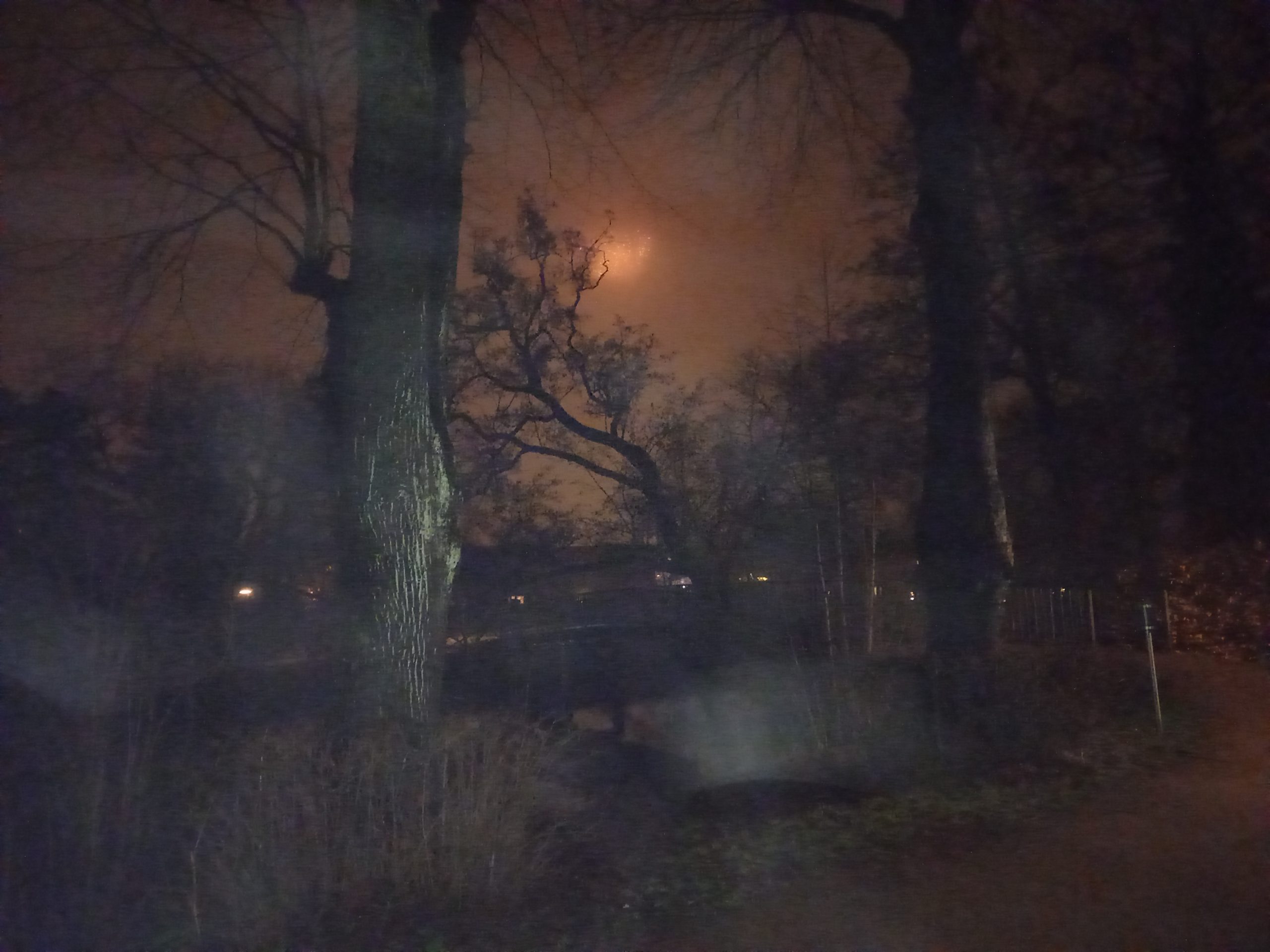 You are currently viewing En nat i byens natur