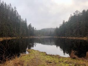 mosjon mot fatigue