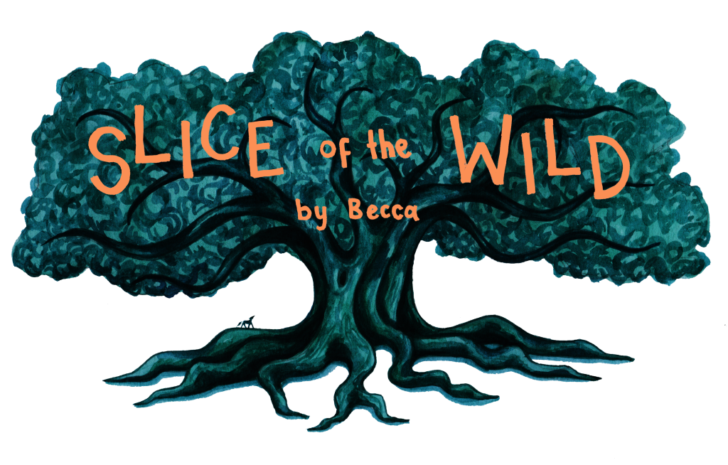 Slice of the Wild tree