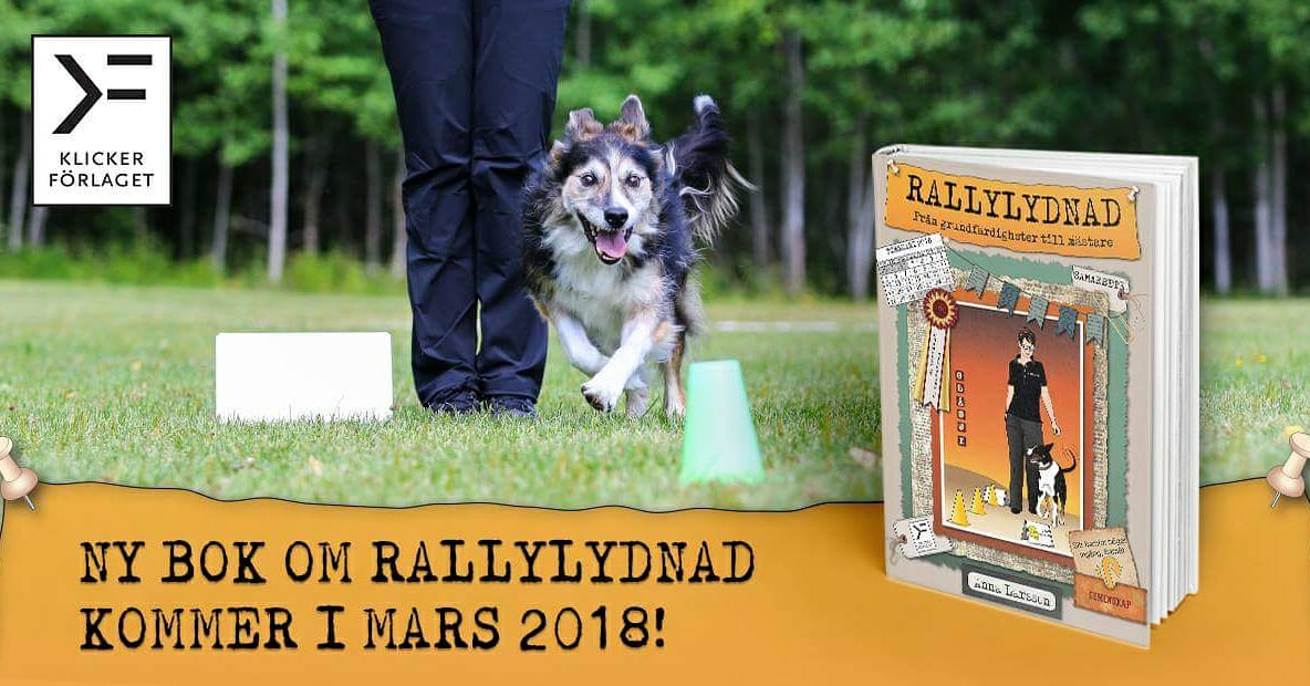 RALLYLYDNAD: Från grundfärdigheter till mästare!