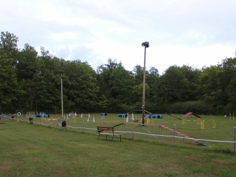 Öppen träning i Agility