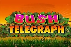 Busho telegrafo logotipas