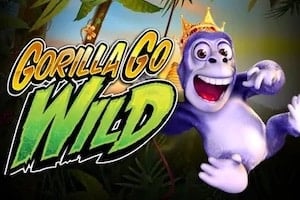 Gorilla Shko Wild