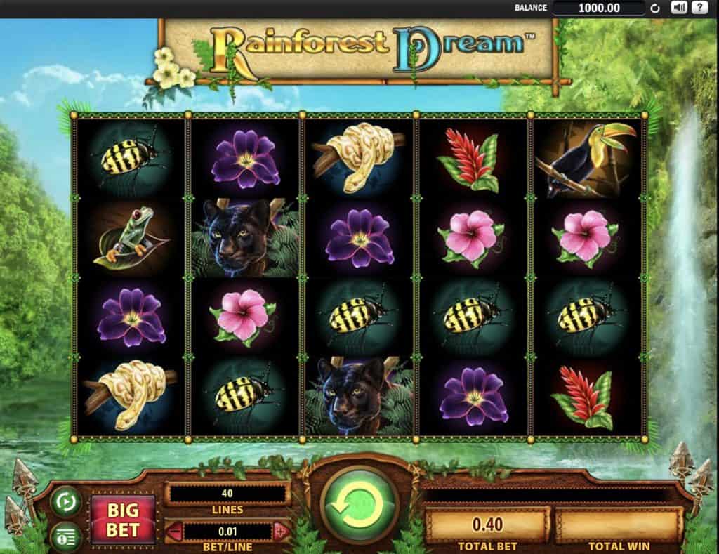 Rainforest Dream -kolikkopelin kuvakaappaus