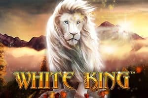 Rey blanco