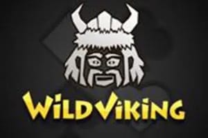 Vild Viking