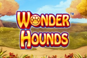 „Wonder Hounds“