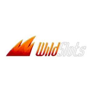 Wild slots kazino logotipas
