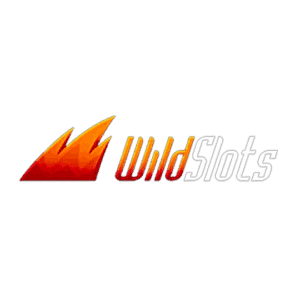 Logo du casino Wild Slots