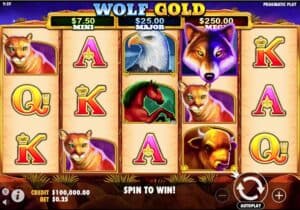 Στιγμιότυπο οθόνης υποδοχής Wolf Gold