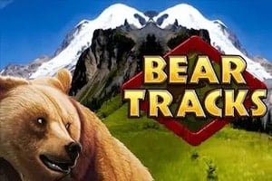 Bear Tracks Logo