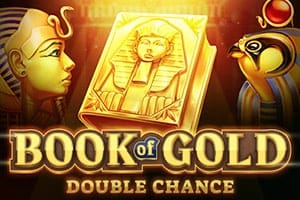 Logo podwójnej szansy Book of Gold