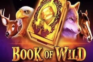 Logo Book of Wild