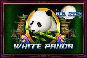 Fullmåne hvit panda
