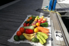 Retour du marché. On lave avant de mettre sur le bateau.