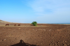 Boa Vista