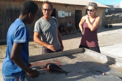 Buying fish in the port of Palmeira, Sal.