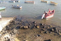 Fishermen at Port of Palmeira, Sal.