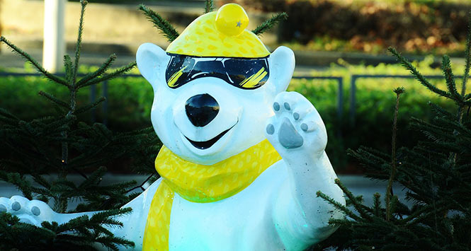 Polar Bear wearing sunglasses