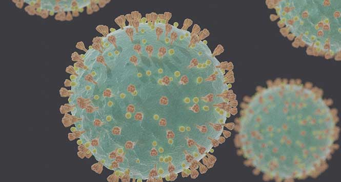 coronavirus