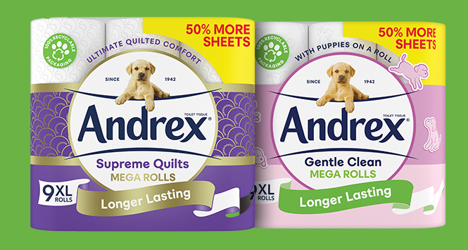 Andrex Mega Rolls