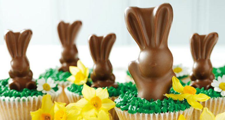 Chocolate bunnies
