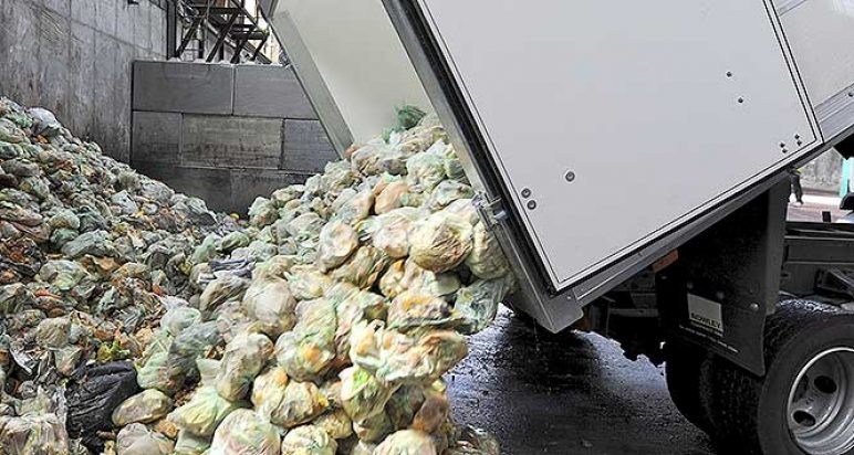 Recycled food waste