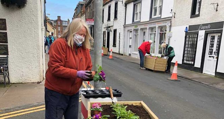 North Berwick in Bloom