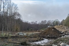 Entreprenören Västmark avverkade skogen i somras. Kommunen fick vetskap att 6000 kvm ek- och lövskog har avverkats av misstag.