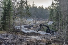 Planen är att plantera ny skog, men det kräver skötsel under 10-15 år. Nu finns bara en kraftledningsgata från det planerade bostadsområdet till Kåsjön.