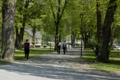 Jönköping stadspark år 2017