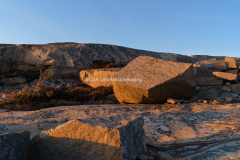 Varm solsken på klippor, Ramsvikslandet