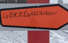 På Gökegårdsvägen pågår arbetena för mark och vatten.