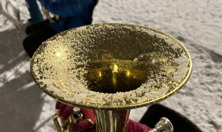 Stemningsfull julekonsert i skolegården