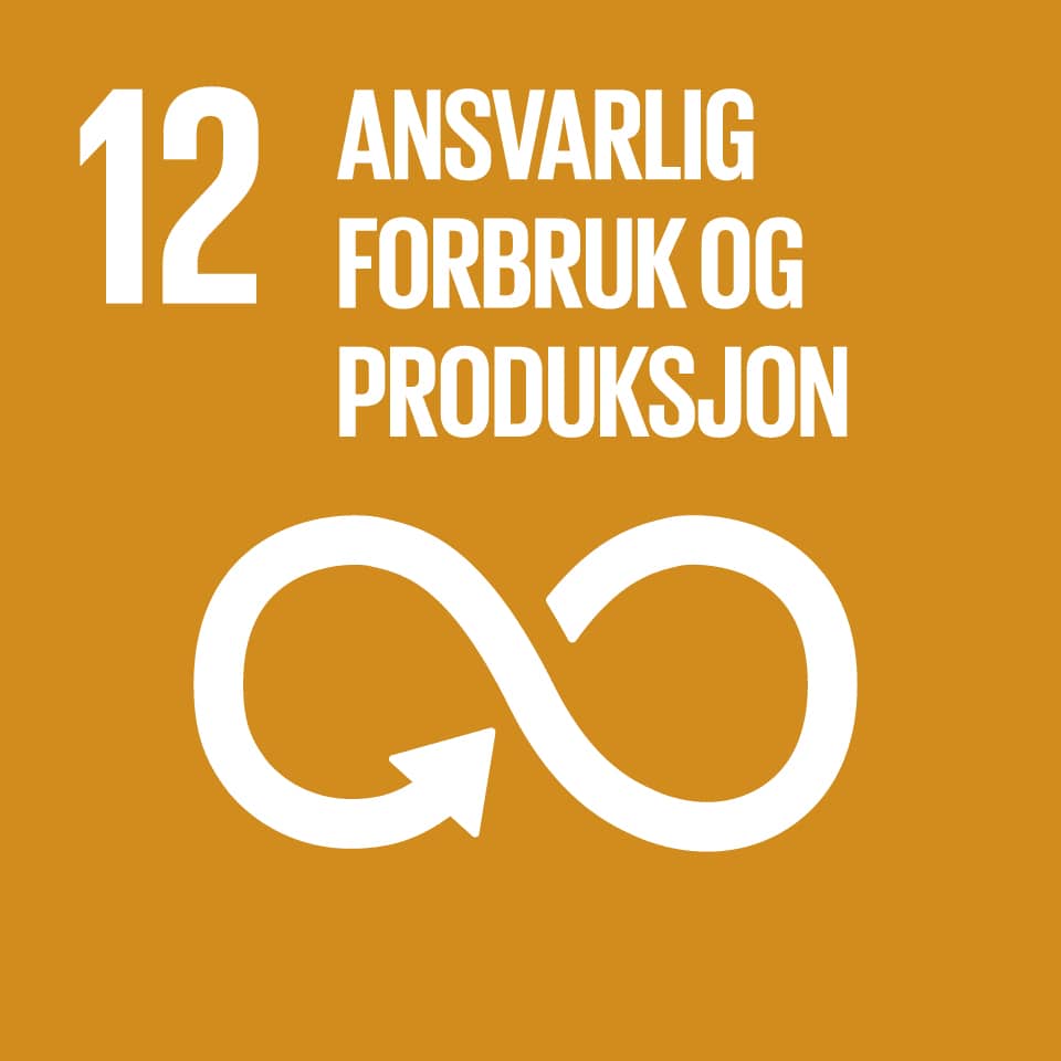 12 Ansvarlig forbruk og produksjon