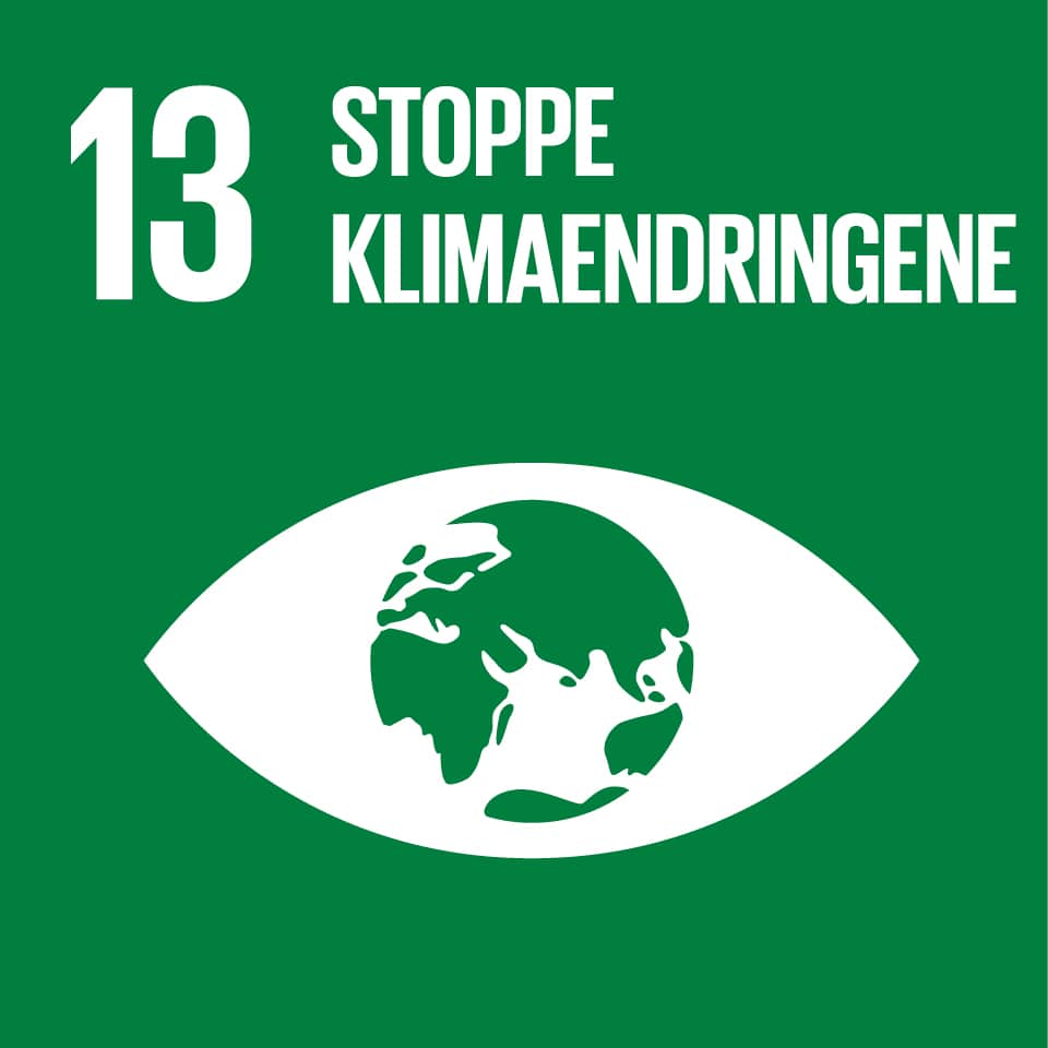 13 Stoppe Klimaendringene